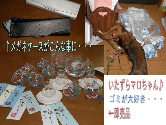 e0069481_10431272.jpg
