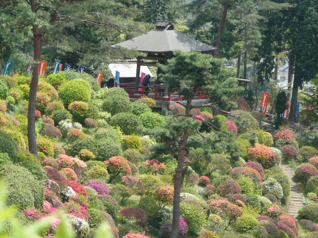 e0145782_1849696.jpg