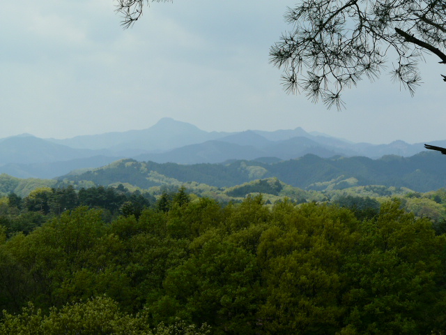 e0145782_18501442.jpg