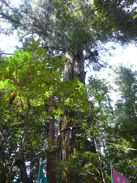 e0145782_18503682.jpg