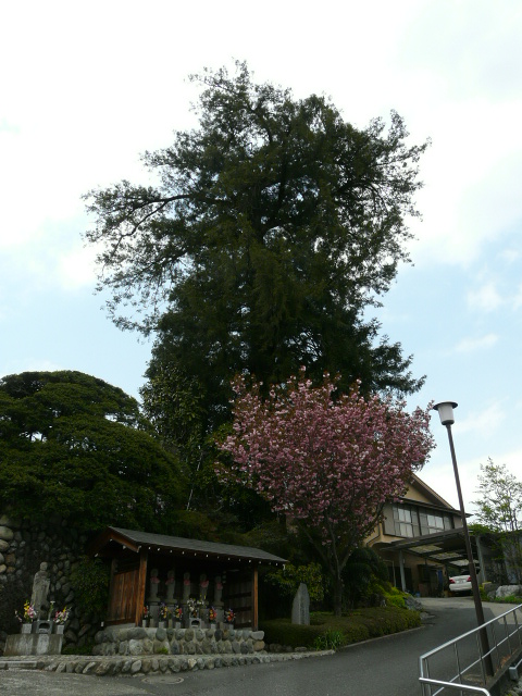 e0145782_1851355.jpg