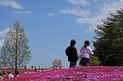 e0190885_12594152.jpg