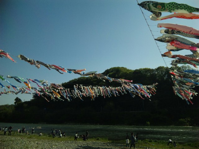 a0139688_5678.jpg