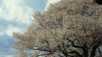 e0175288_1762890.jpg