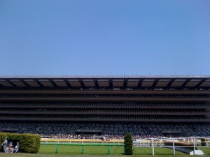 e0148989_1262149.jpg
