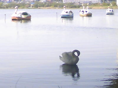 a0164292_2349588.jpg