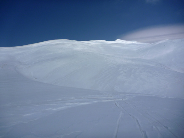 a0043193_22343195.jpg