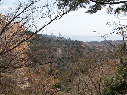 b0029694_17102258.jpg