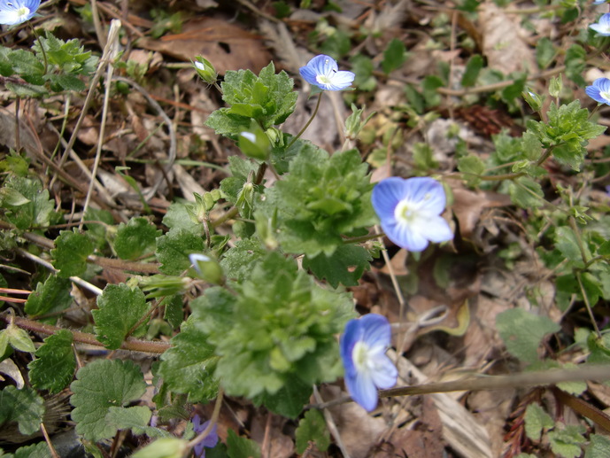 b0029694_17105250.jpg
