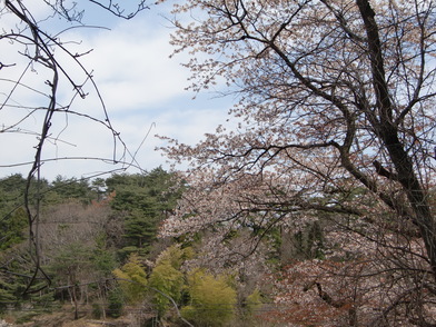 b0029694_1715150.jpg