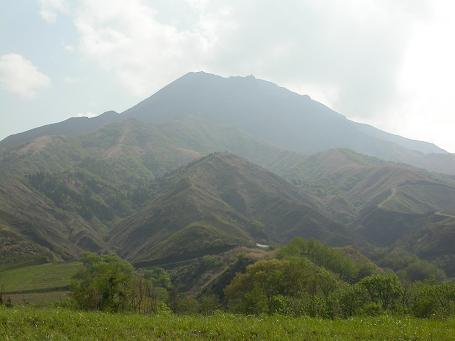 e0048994_130988.jpg