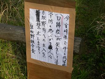 e0048994_135743.jpg
