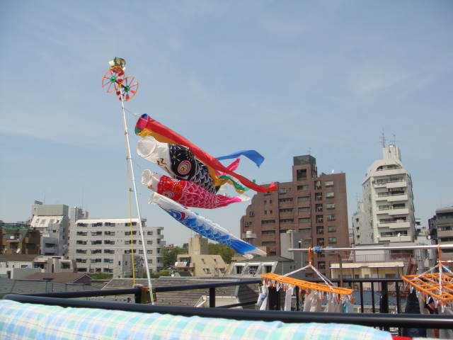 d0098295_22391719.jpg