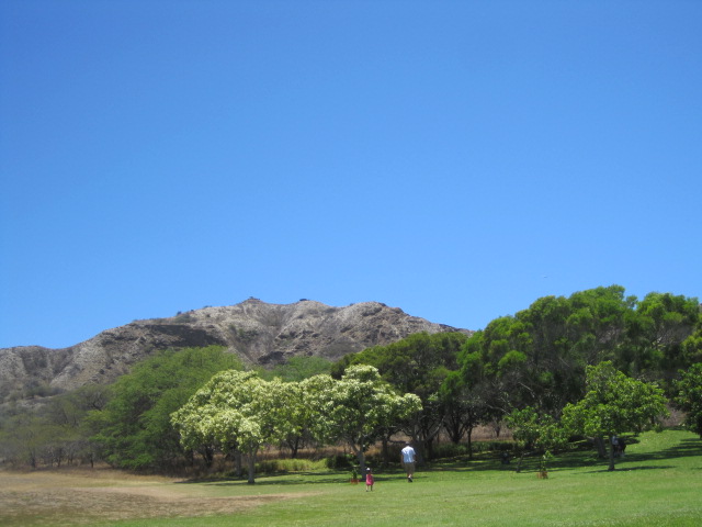 f0209395_185539.jpg
