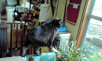 c0206596_21315747.jpg