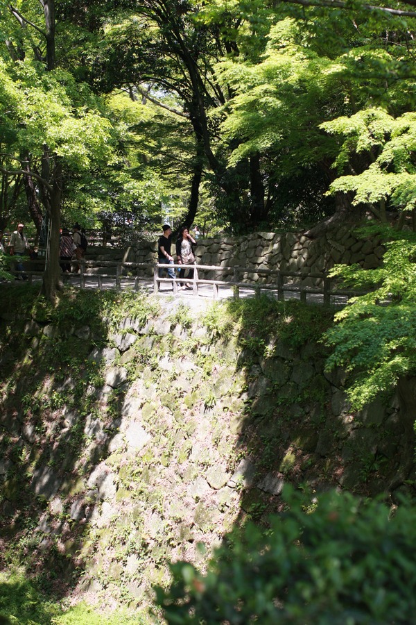 f0148697_20444789.jpg
