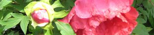 f0201297_10344963.jpg