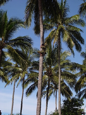 a0036499_1465247.jpg
