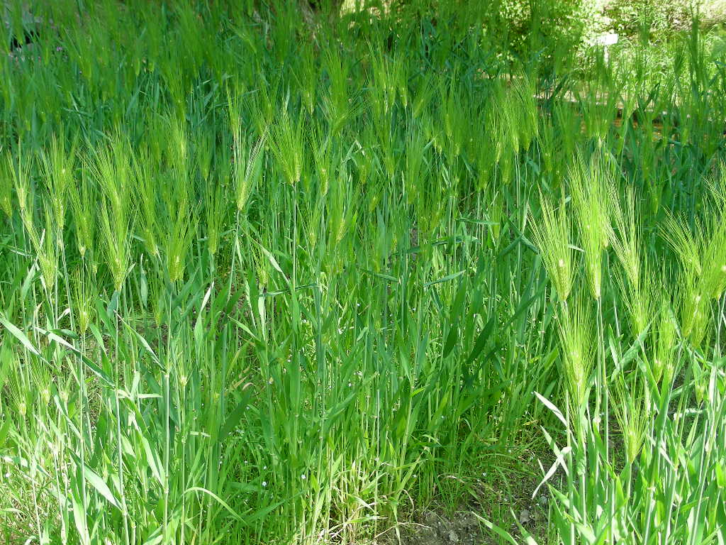 c0145299_22175361.jpg