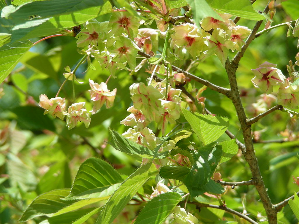 c0145299_2222610.jpg