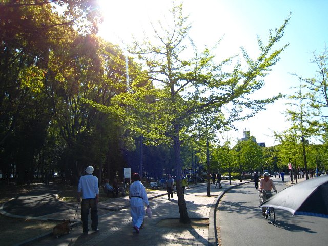 d0121300_0582042.jpg