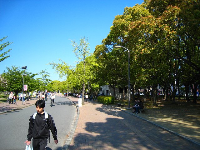 d0121300_104815.jpg