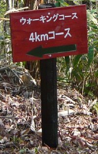 c0024502_21293689.jpg