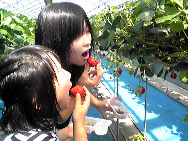 f0079202_10325381.jpg