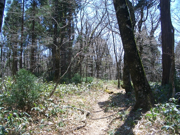c0197004_14452165.jpg