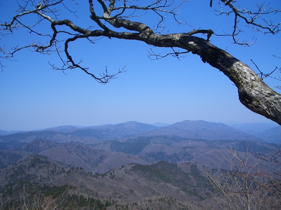c0197004_14461958.jpg