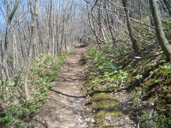 c0197004_14463564.jpg