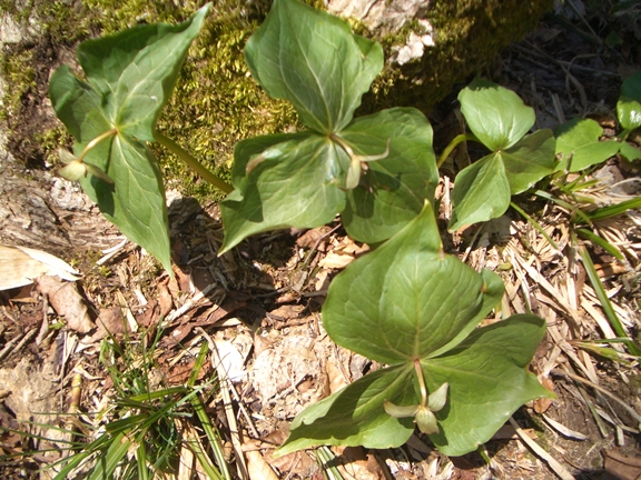 c0197004_15134427.jpg