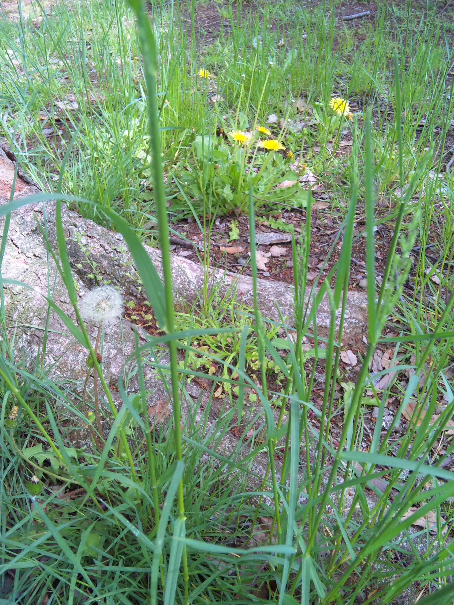 e0131904_13382749.jpg