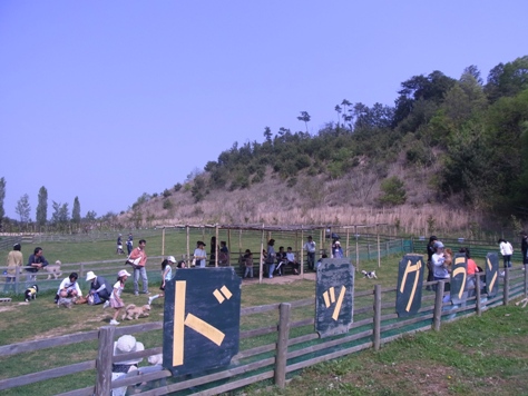 c0205806_20441363.jpg