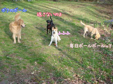 f0064906_17533664.jpg