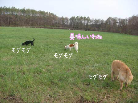 f0064906_18103916.jpg