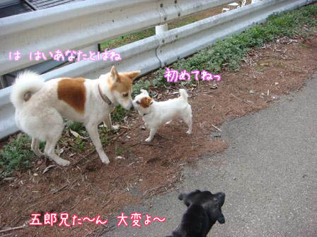 f0064906_18155026.jpg