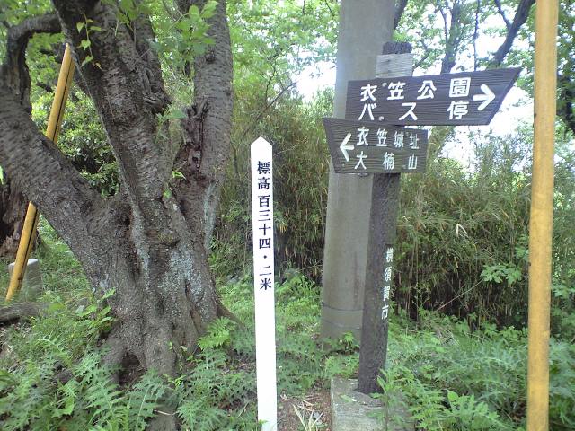 b0076307_10132594.jpg
