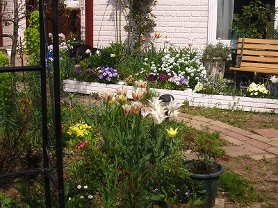 c0117007_2259196.jpg