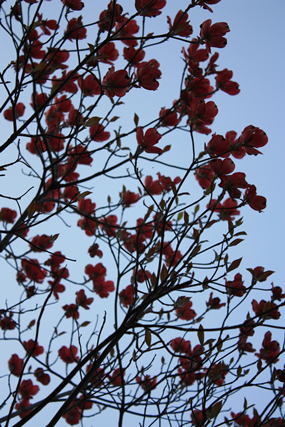 d0001008_8433979.jpg