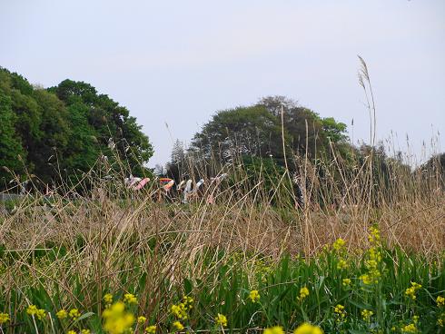 e0123808_1346668.jpg