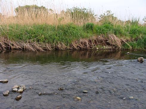 e0123808_13475525.jpg