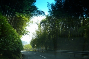 f0221708_21534290.jpg