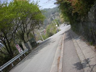 b0183911_2230781.jpg