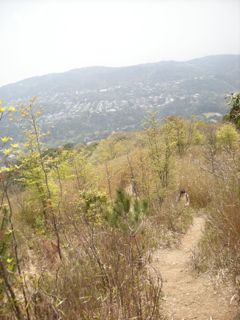 b0183911_22311543.jpg