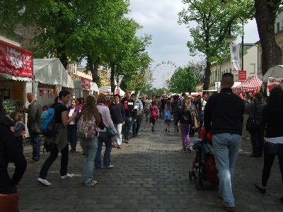 e0038811_339843.jpg