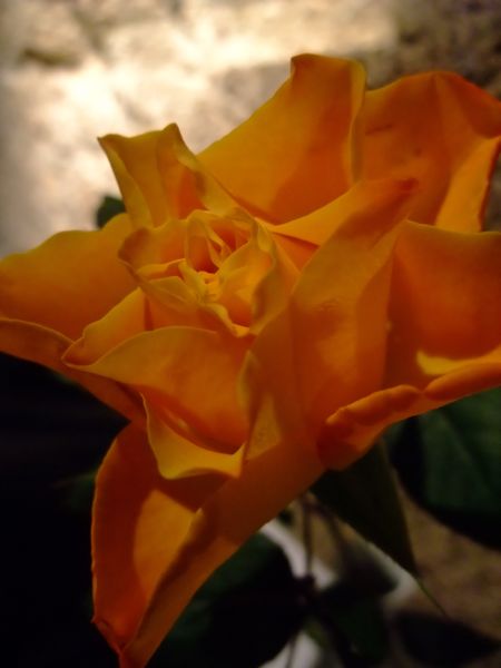 c0167813_047535.jpg