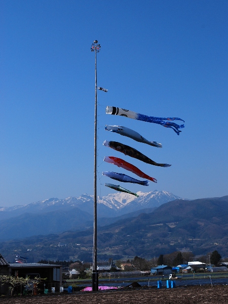 c0177814_11563721.jpg