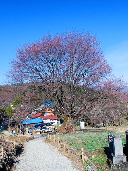 c0177814_1159314.jpg
