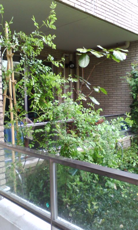 a0109615_19454743.jpg